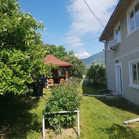 Apartament Tiatim Apartment Vatra Dornei Exterior photo
